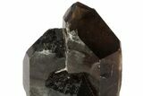 Dark, Smoky Quartz Crystal - Brazil #79882-3